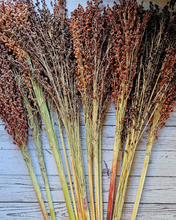 Load image into Gallery viewer, Dried Broomcorn Seed Heads - Rustic Fall Decor