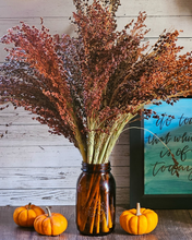 Load image into Gallery viewer, Dried Broomcorn Seed Heads - Rustic Fall Decor