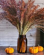 Load image into Gallery viewer, Dried Broomcorn Seed Heads - Rustic Fall Decor
