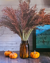Load image into Gallery viewer, Dried Broomcorn Seed Heads - Rustic Fall Decor