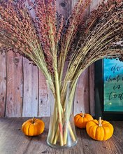Load image into Gallery viewer, Dried Broomcorn Seed Heads - Rustic Fall Decor