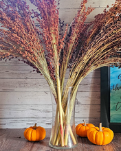 Load image into Gallery viewer, Dried Broomcorn Seed Heads - Rustic Fall Decor