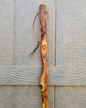 Load image into Gallery viewer, Handmade Sweeper Broom - Eco Friendly Traditional Broomcorn Broom