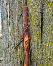 Load image into Gallery viewer, Handmade Sweeper Broom - Eco Friendly Traditional Broomcorn Broom