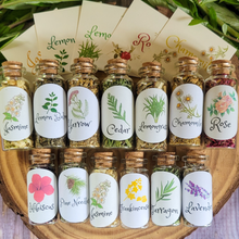 Load image into Gallery viewer, Small Apothecary Herb Bottles for Rituals, Spells, Green Magick, and More!