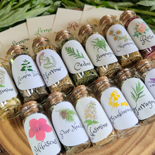 Load image into Gallery viewer, Small Apothecary Herb Bottles for Rituals, Spells, Green Magick, and More!