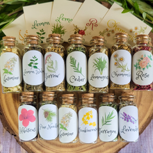 Load image into Gallery viewer, Small Apothecary Herb Bottles for Rituals, Spells, Green Magick, and More!