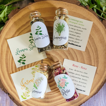 Load image into Gallery viewer, Small Apothecary Herb Bottles for Rituals, Spells, Green Magick, and More!