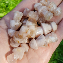 Load image into Gallery viewer, Carved flower agate mushroom