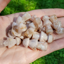 Load image into Gallery viewer, Mini Flower Agate Mushroom