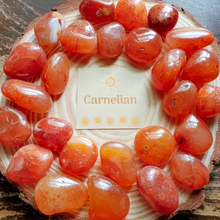 Load image into Gallery viewer, Tumbled Carnelian crystals
