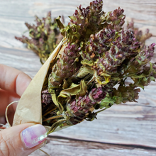 Load image into Gallery viewer, Small Self Heal Dried Herb Bundle - Dried Prunella Blossoms