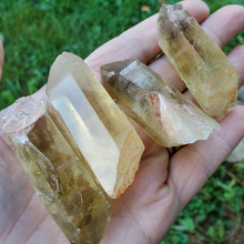 Load image into Gallery viewer, Natural Rough citrine points