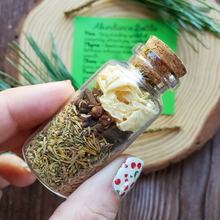 Load image into Gallery viewer, Abundance spell bottle, herbs for prosperity and success