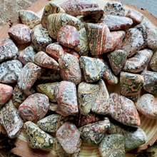 Load image into Gallery viewer, Leopardskin jasper gemstones
