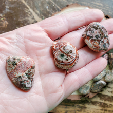 Load image into Gallery viewer, Tumbled leopard Skin Jasper stones