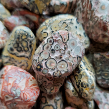 Load image into Gallery viewer, Leopard skin jasper crystals