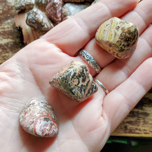 Load image into Gallery viewer, Leopard skin jasper gemstones