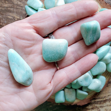 Load image into Gallery viewer, Amazonite tumbled gemstones