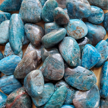 Load image into Gallery viewer, Apatite Tumbled Gemstones