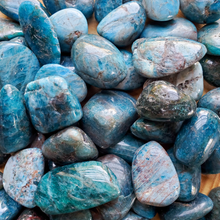 Load image into Gallery viewer, Apatite tumbled stones