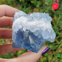 Load image into Gallery viewer, Natural Celestite Druzy Geode Cluster