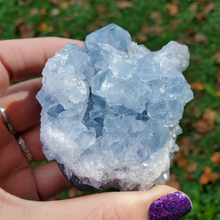 Load image into Gallery viewer, Natural Celestite Druzy Geode Cluster