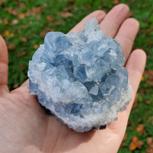 Load image into Gallery viewer, Natural Celestite Druzy Geode Cluster