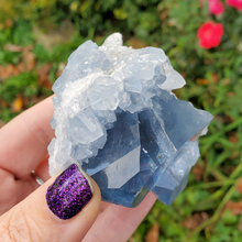 Load image into Gallery viewer, Natural Celestite Druzy Geode Cluster