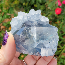 Load image into Gallery viewer, Natural Celestite Druzy Geode Cluster