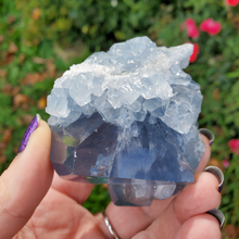 Load image into Gallery viewer, Natural Celestite Druzy Geode Cluster