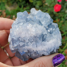 Load image into Gallery viewer, Natural Celestite Druzy Geode Cluster