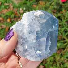 Load image into Gallery viewer, Natural Celestite Druzy Geode Cluster
