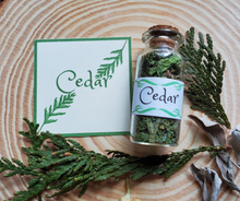 Load image into Gallery viewer, Cedar mini Apothecary Herb Bottles