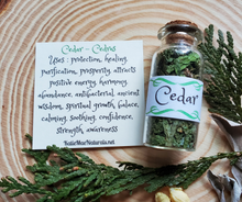 Load image into Gallery viewer, Cedar mini Apothecary herb bottle