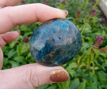 Load image into Gallery viewer, Blue apatite Palm stones