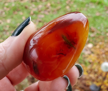 Load image into Gallery viewer, Polished Carnelian Egg (#3)