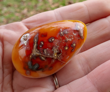 Load image into Gallery viewer, Polished Carnelian Egg (#4)