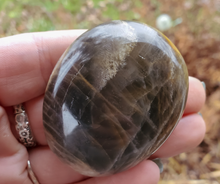Load image into Gallery viewer, Palm stone black moonstone