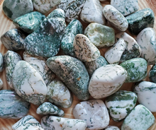 Load image into Gallery viewer, Tree agate tumbled stones