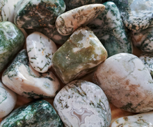 Load image into Gallery viewer, Tree agate tumbled stones