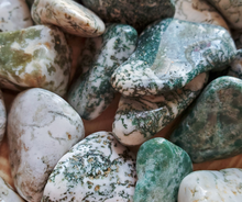 Load image into Gallery viewer, Tree agate tumbled gemstones