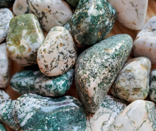 Load image into Gallery viewer, Tree agate tumbled gemstones