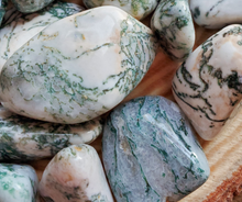 Load image into Gallery viewer, Tree agate tumbled gemstones