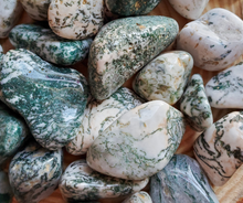 Load image into Gallery viewer, Tree agate tumbled gemstones