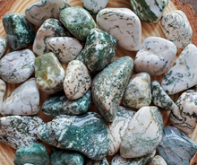 Load image into Gallery viewer, Tree agate tumbled gemstones