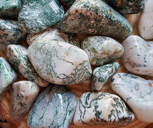 Load image into Gallery viewer, Tree agate tumbled gemstones