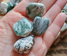 Load image into Gallery viewer, Tree agate tumbled gemstones