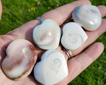 Load image into Gallery viewer, Shiva Shell Heart