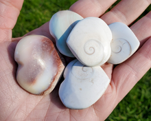 Load image into Gallery viewer, Shiva Shell Heart
